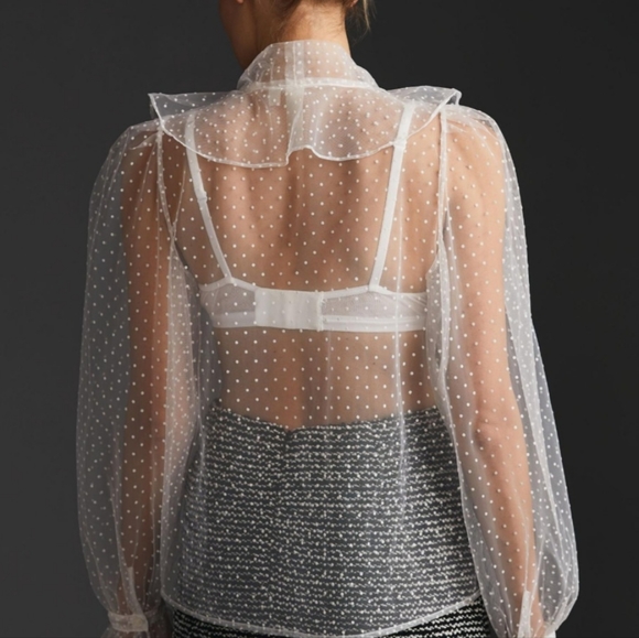 Anthropologie Sheer Tie-Neck Blouse - Picture 3 of 4